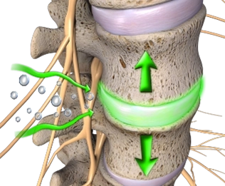 Chiropractic Coeur d'Alene ID Spine Green